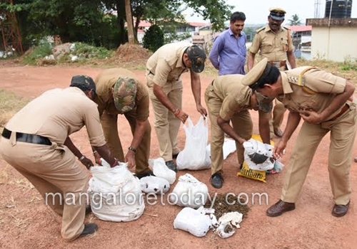 DK administration destroys 18 kg seized ganja 1